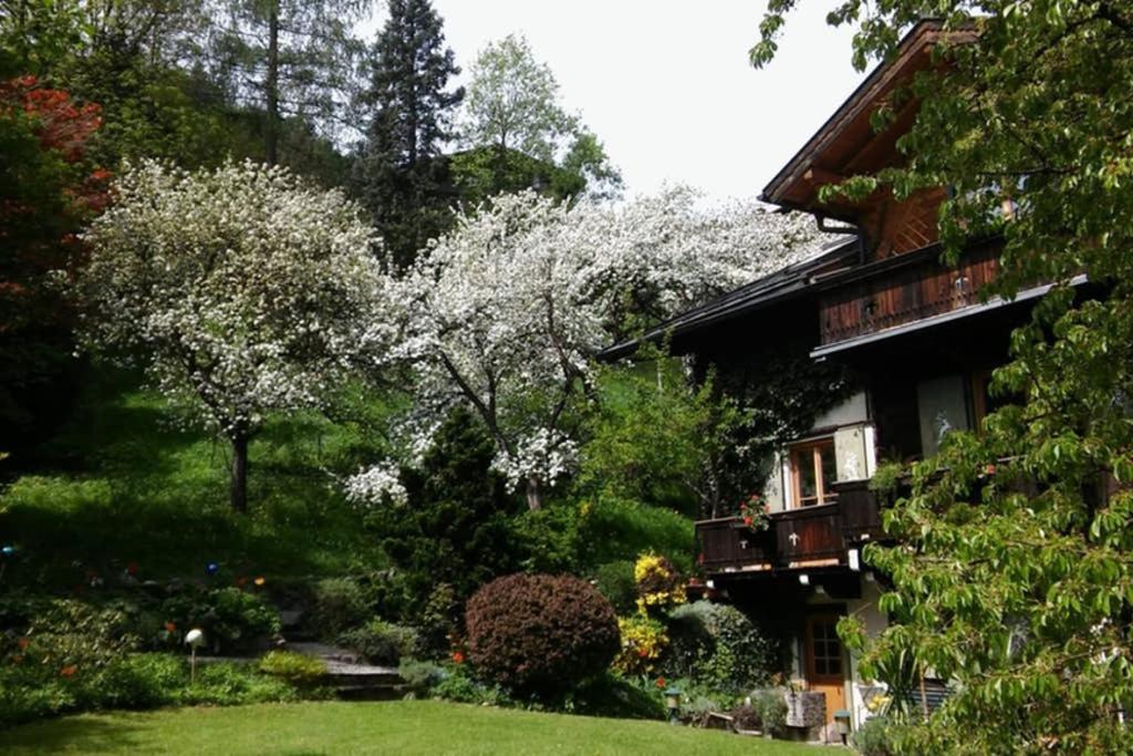 Haus Weidmannsheil - Wohnen Im Romantischen Forsthaus Werfen Buitenkant foto