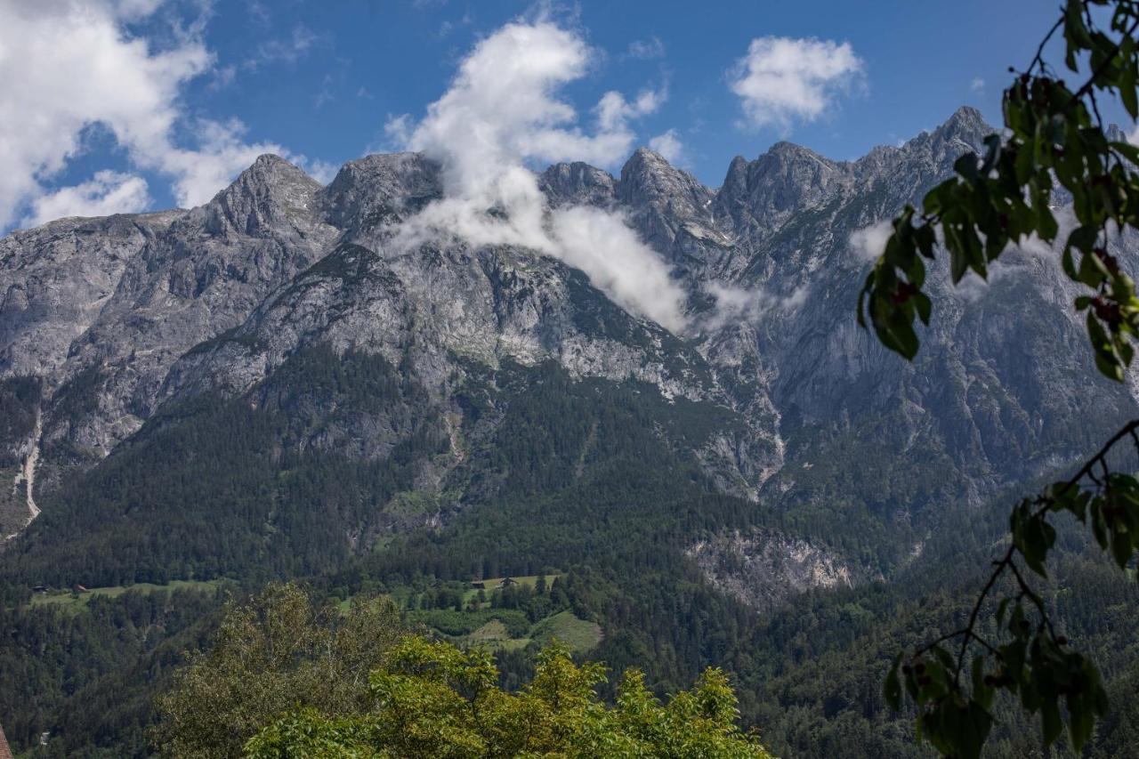 Haus Weidmannsheil - Wohnen Im Romantischen Forsthaus Werfen Buitenkant foto