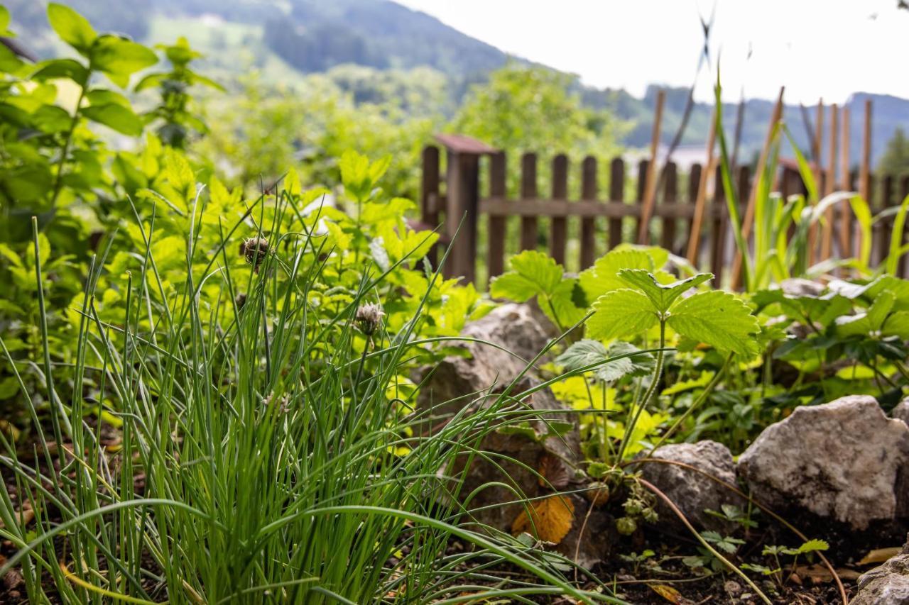 Haus Weidmannsheil - Wohnen Im Romantischen Forsthaus Werfen Buitenkant foto