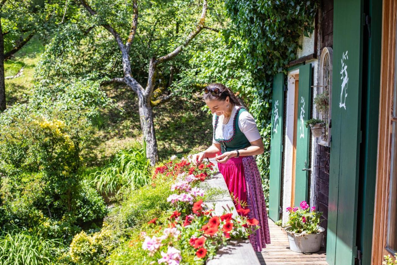 Haus Weidmannsheil - Wohnen Im Romantischen Forsthaus Werfen Buitenkant foto